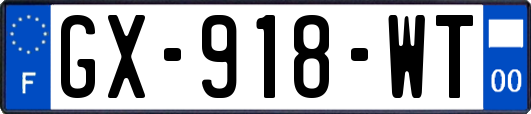 GX-918-WT