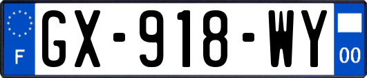 GX-918-WY