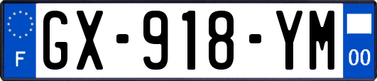 GX-918-YM