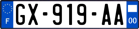 GX-919-AA