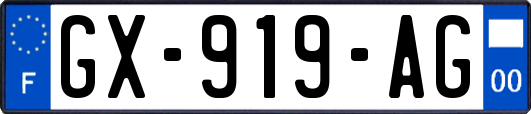 GX-919-AG