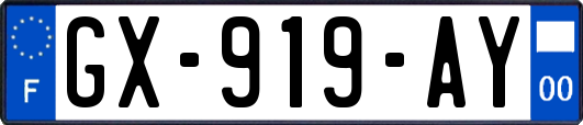 GX-919-AY