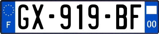 GX-919-BF