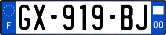 GX-919-BJ