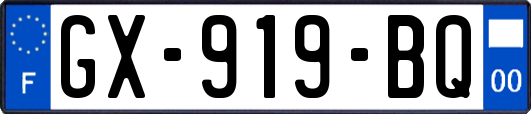 GX-919-BQ