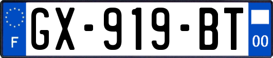 GX-919-BT