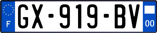 GX-919-BV
