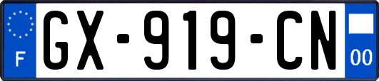 GX-919-CN