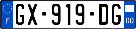 GX-919-DG