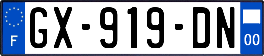 GX-919-DN