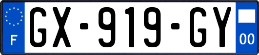 GX-919-GY