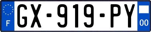 GX-919-PY