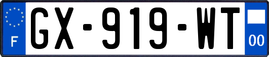 GX-919-WT