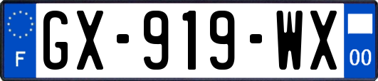 GX-919-WX