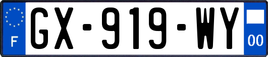 GX-919-WY