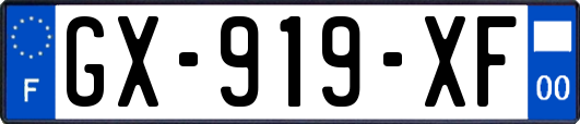 GX-919-XF