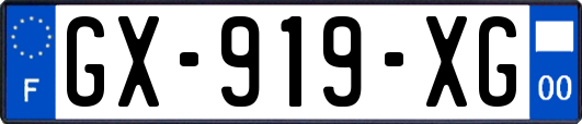 GX-919-XG