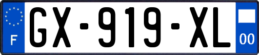 GX-919-XL