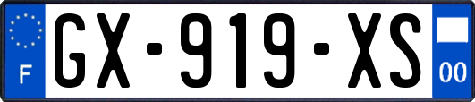 GX-919-XS