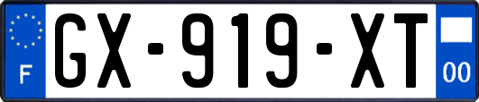GX-919-XT