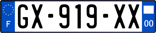 GX-919-XX
