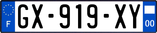 GX-919-XY