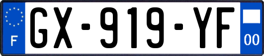 GX-919-YF
