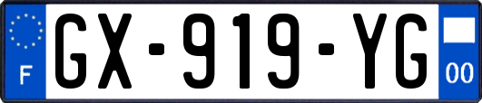 GX-919-YG