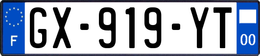 GX-919-YT