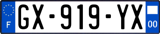 GX-919-YX