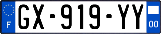 GX-919-YY