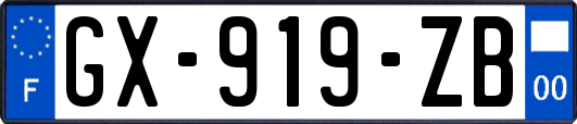GX-919-ZB