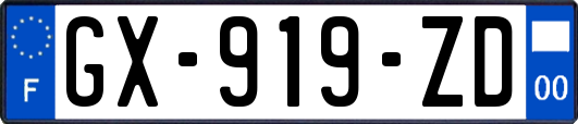 GX-919-ZD