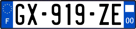 GX-919-ZE