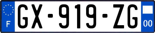 GX-919-ZG
