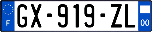 GX-919-ZL