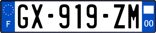 GX-919-ZM