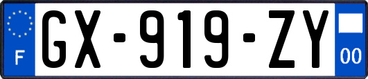 GX-919-ZY