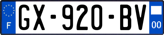 GX-920-BV