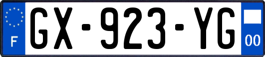 GX-923-YG