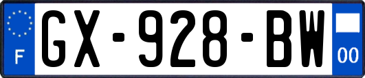 GX-928-BW