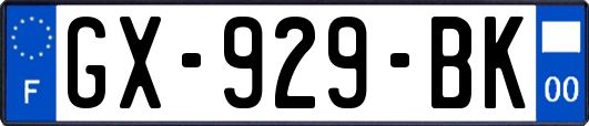 GX-929-BK