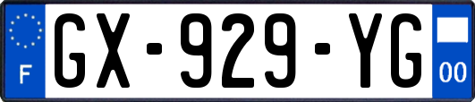 GX-929-YG