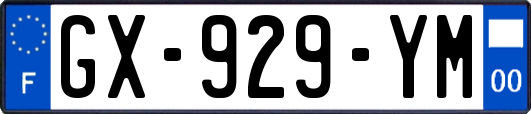 GX-929-YM