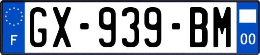 GX-939-BM