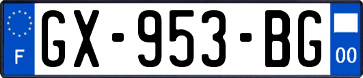 GX-953-BG