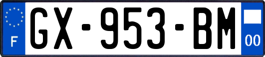 GX-953-BM