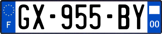GX-955-BY