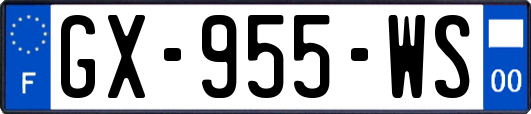 GX-955-WS