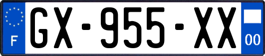 GX-955-XX